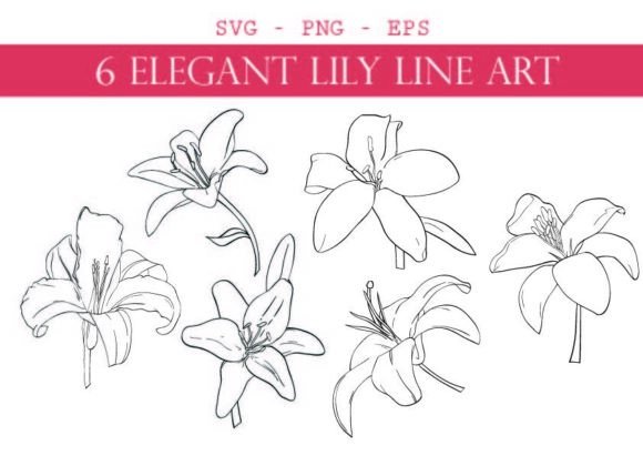 Download Bundel of 6 Elegant Lily Line Art - Bundel Collection